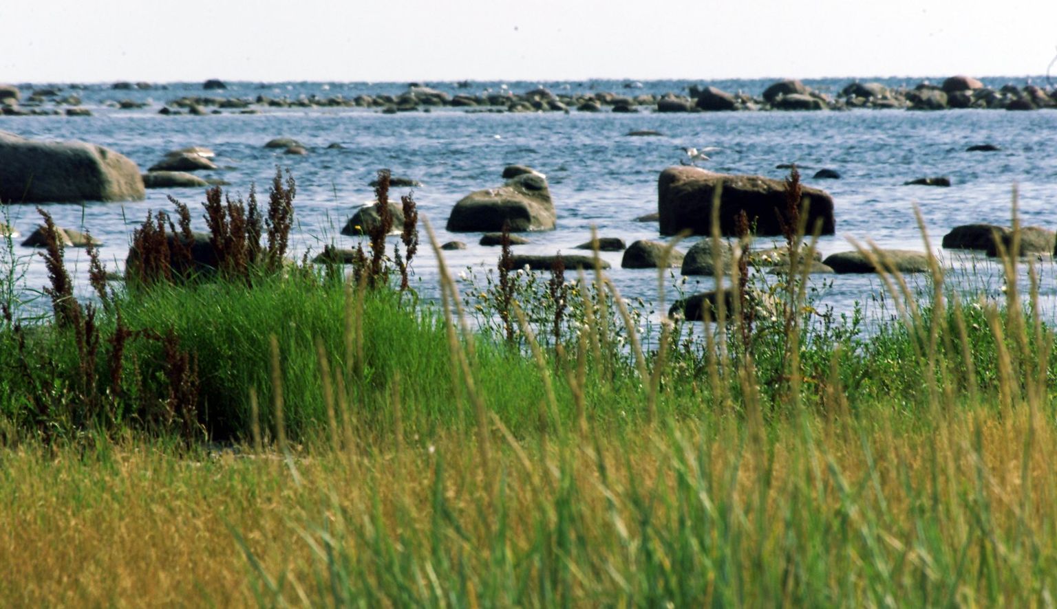 Suvine Saaremaa. Sõrve rand.