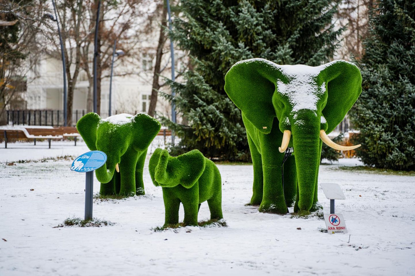 Pärnu Rannapargi elevandipere saab lumes kümmelda.