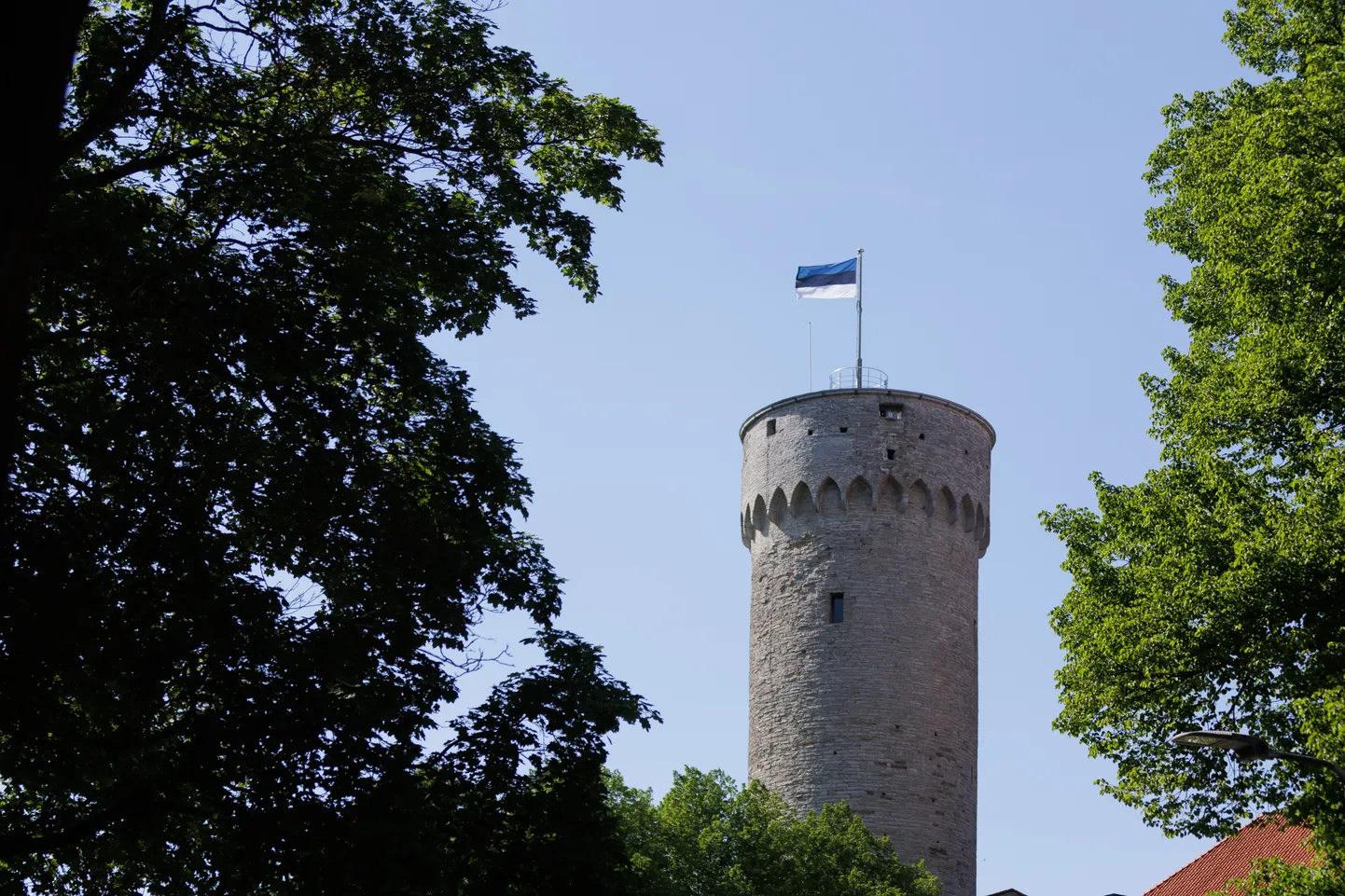 The Estonian flag at the top of the Tall Hermann tower.