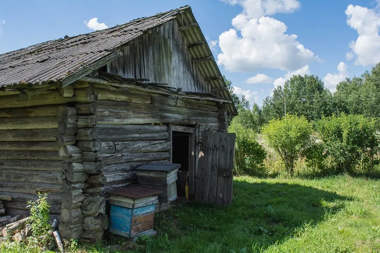 Фото статьи