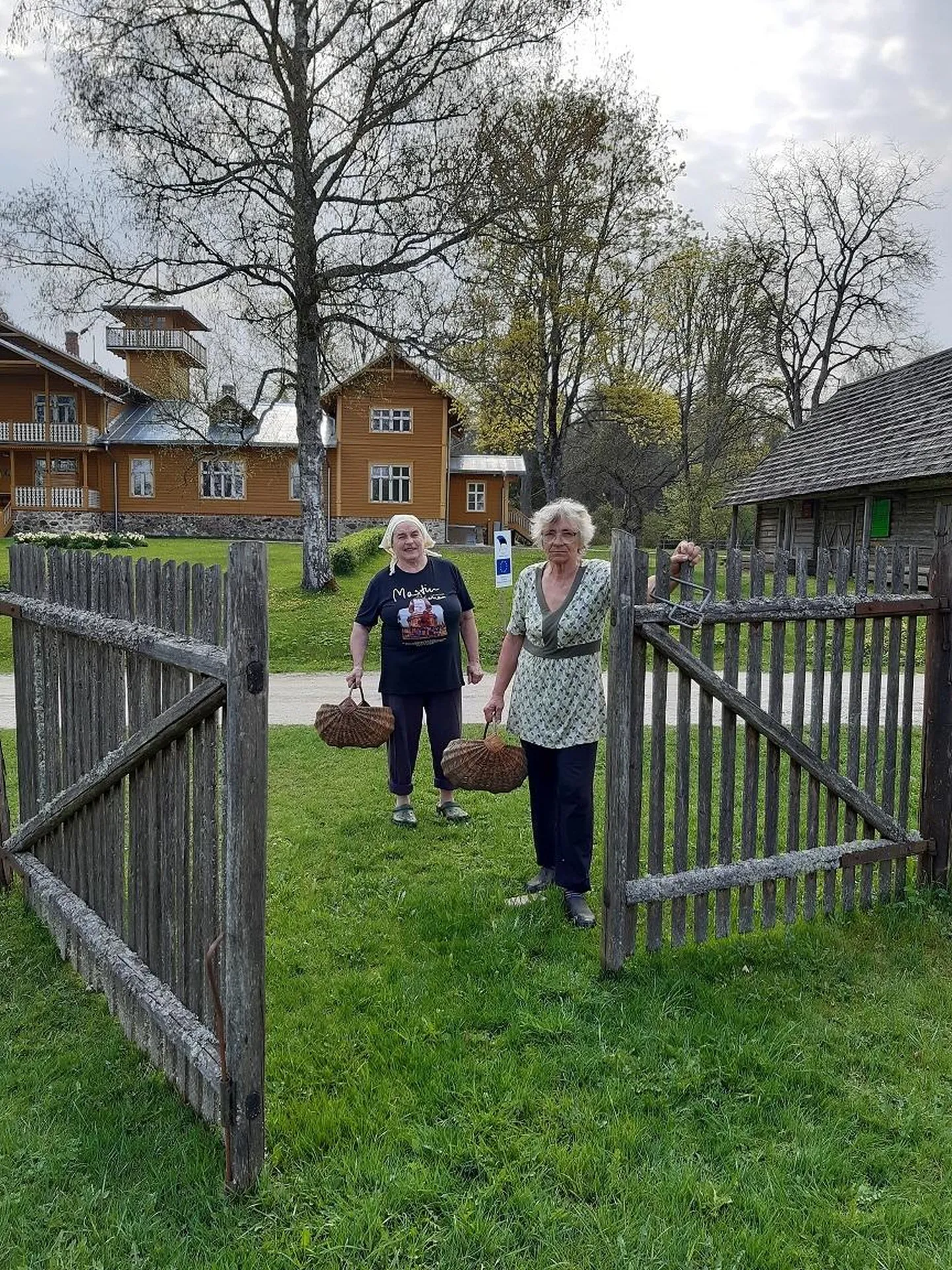 Kartulipanekuks sobib loodusmärkide järgi toomingate õitsemise aeg vanas kuus.