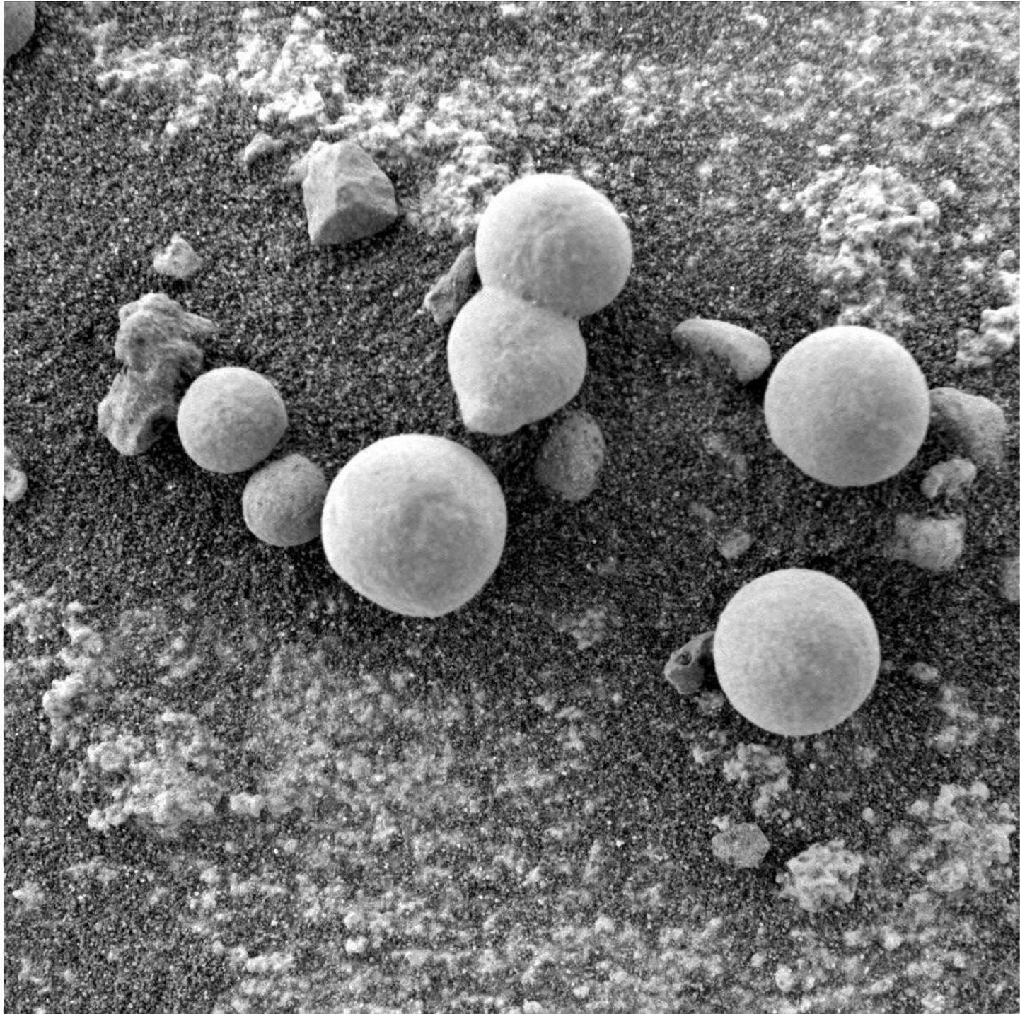 3-8 mm läbimõõduga võimalikud Marsi-seened Opportunity-kulguri fotol.