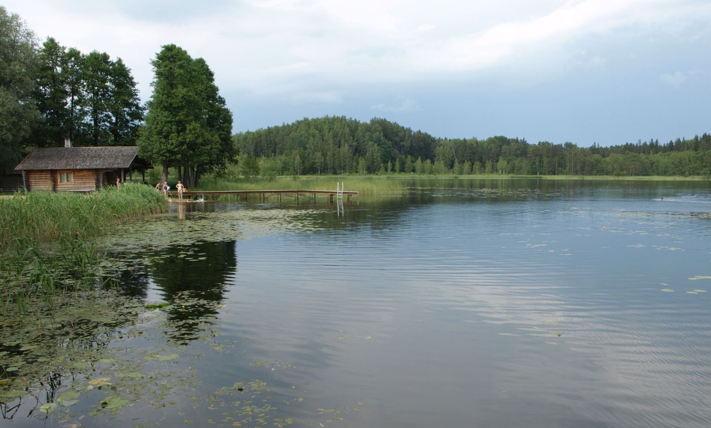 Kääriku, kus Metsaülikool Eestis suviti toimub.