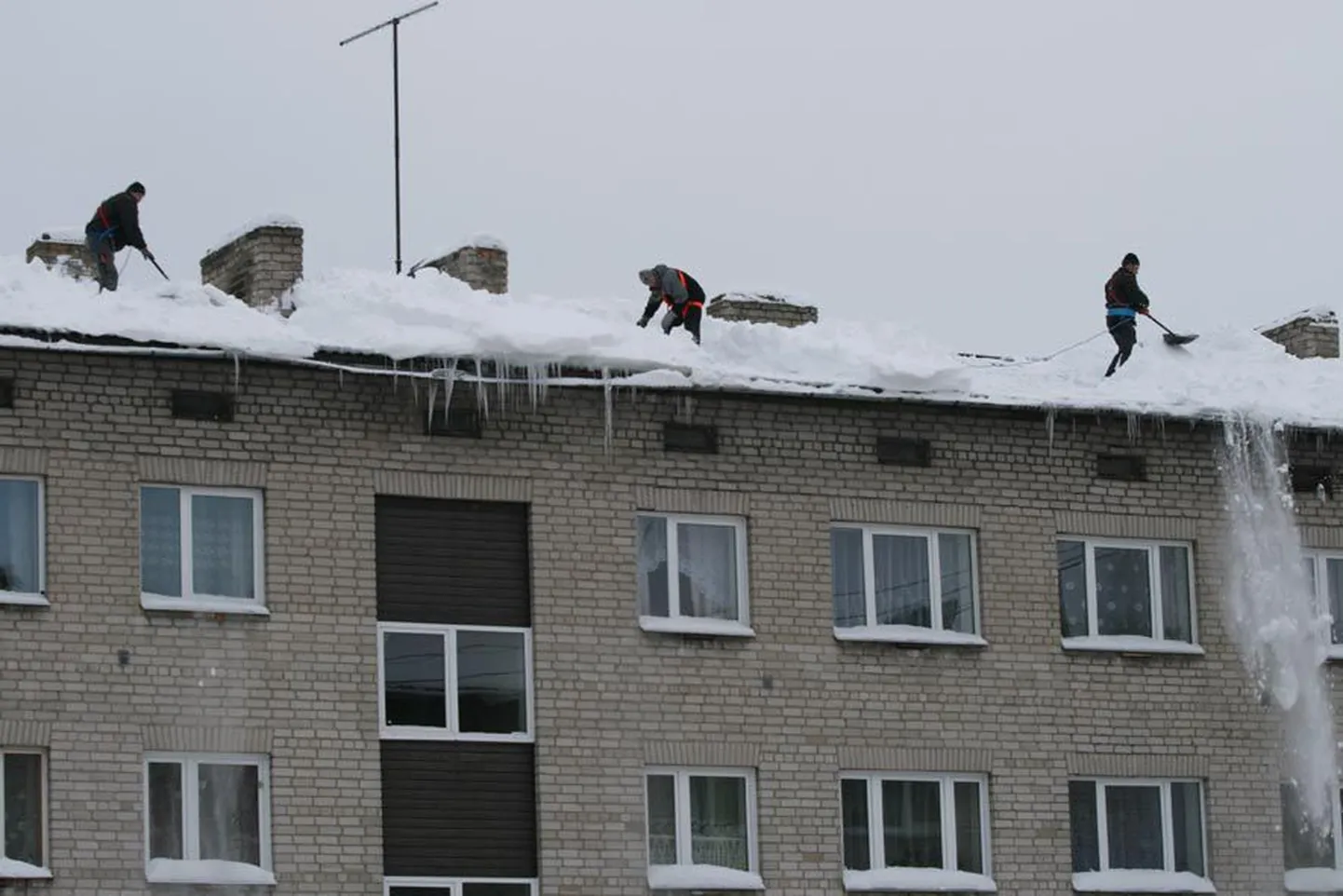 Alates jaanuarist saab registreeritud töötu enne tööleasumist proovipäeval ameti sobivust katsetada. Mehele, kes tahtis tööle asuda katustelt lumelükkajana, sai katusele minnes selgeks, et ta kardab kõrgust. (Pildil olevad mehed ei ole looga seotud).