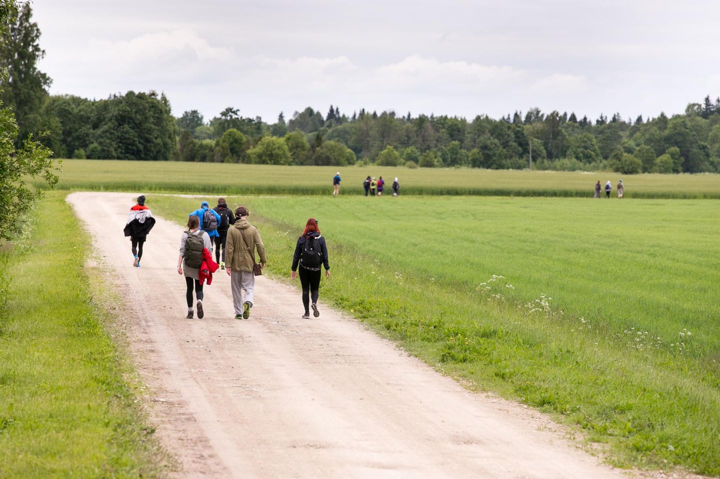 Töötukassa Pärnumaa osakonna pakkumistes otsitakse matkatingi juhendajat.