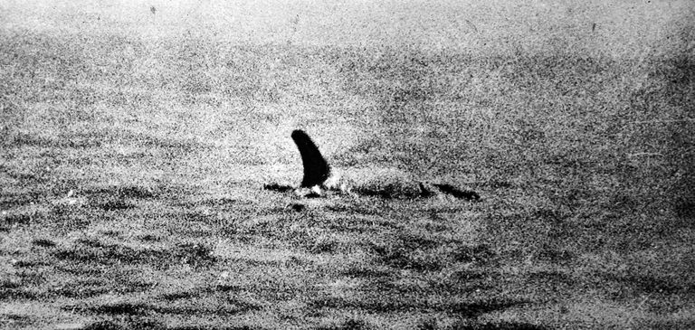 Foto 1930. aastatest, millel on väidetavalt Loch Nessi koletis