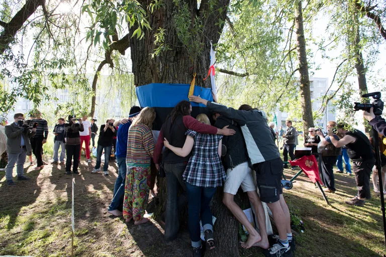 Aktivistid Haaberstis hõberemmelga ümber.