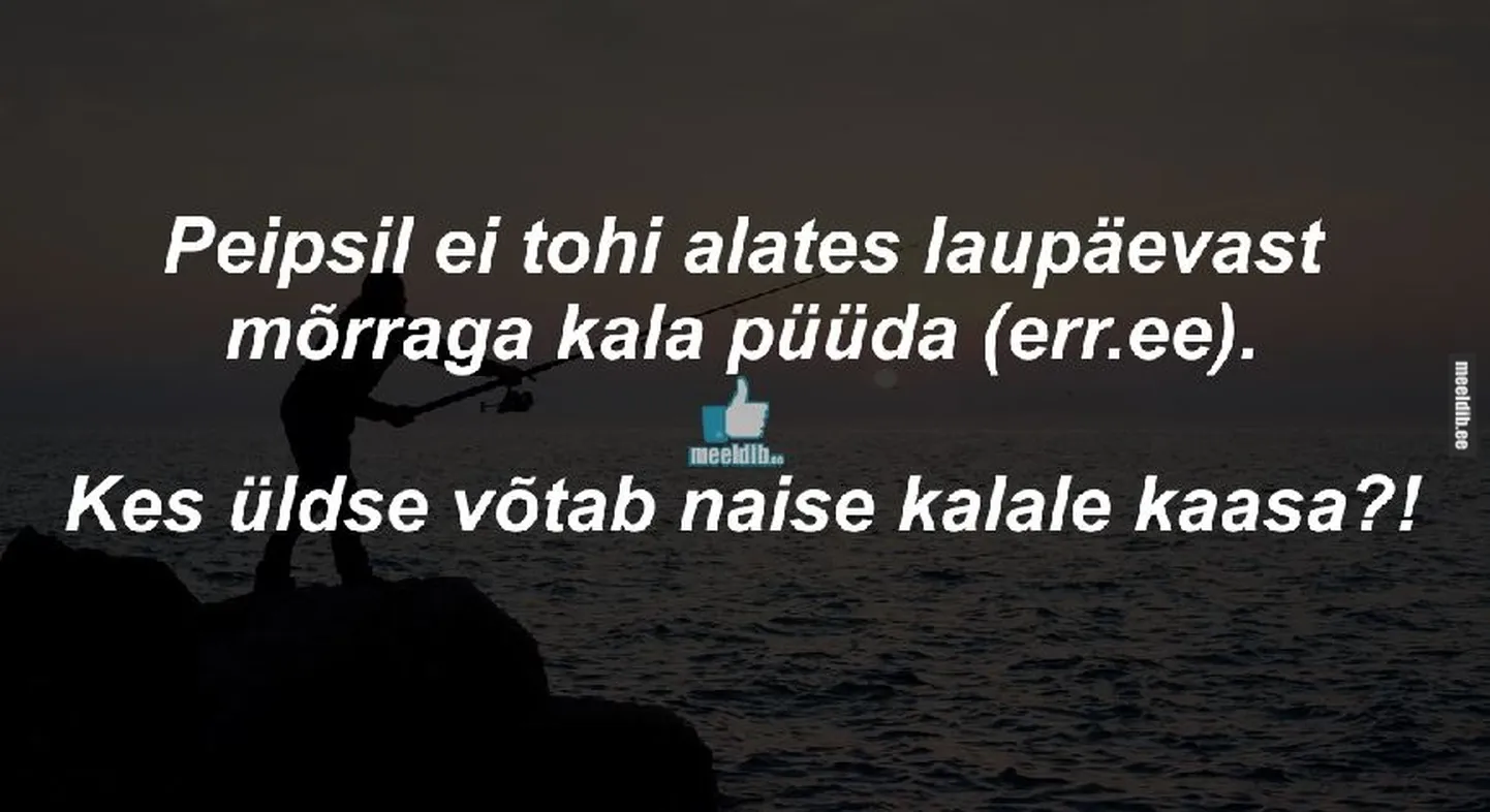 Artikli foto