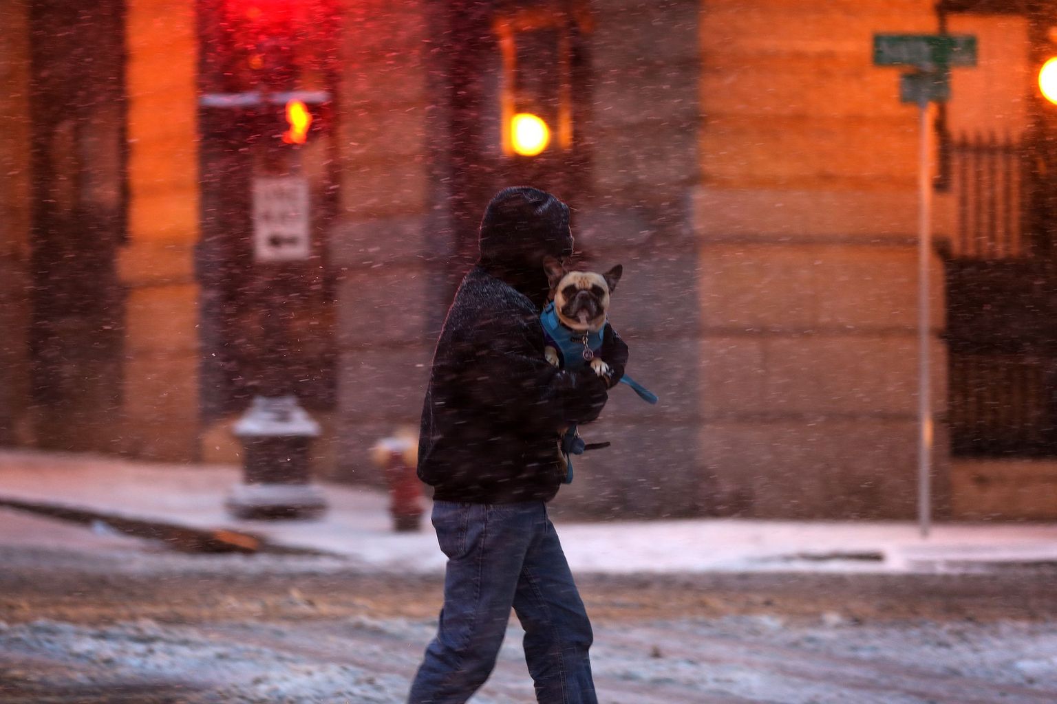 Lumetormis mees ja koer USAs Minnesotas St. Paulis
