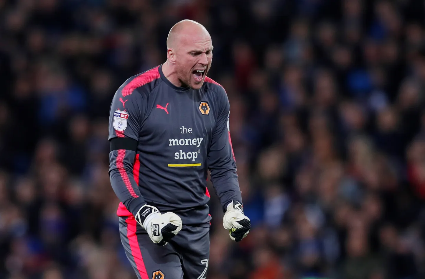 Wolverhampton Wanderersi väravavaht John Ruddy.