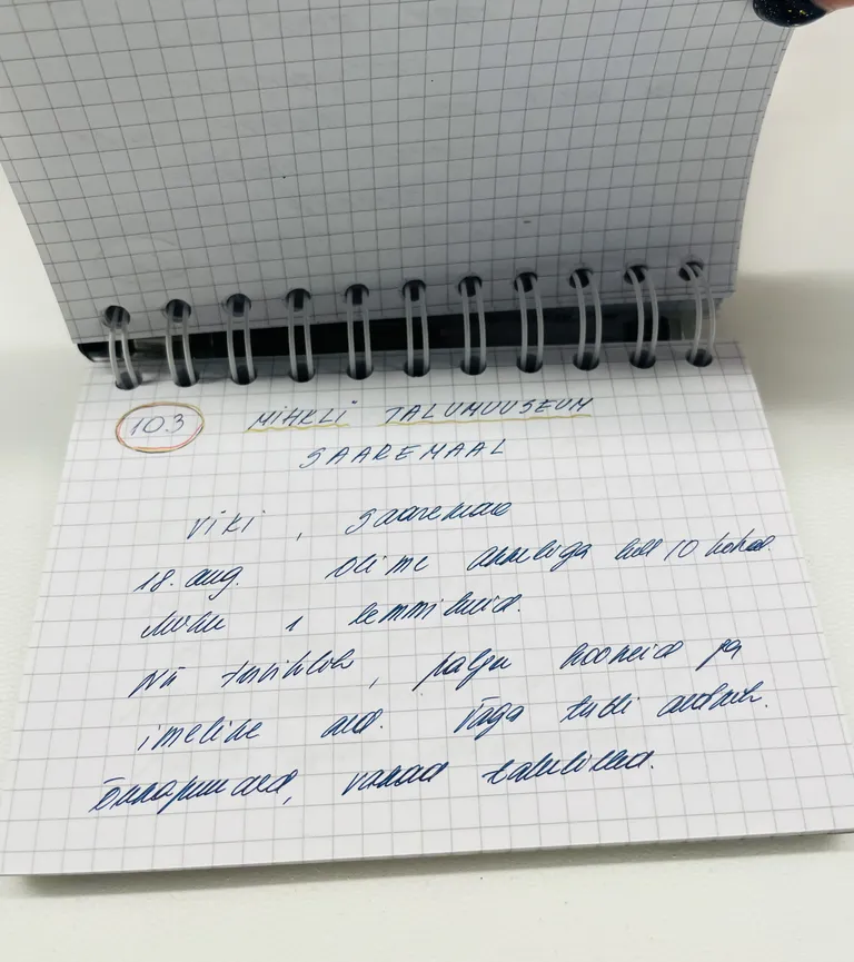 Lehekülg Krista Roolaiu märkmikust.