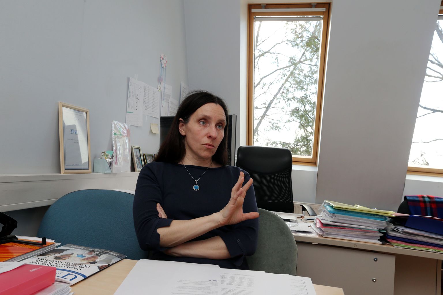 Tartu ülikooli inimesegeneetika professor Maris Laan valutab südant naiste ja meeste viljakusega seotud meditsiini arengu pärast Eestis.