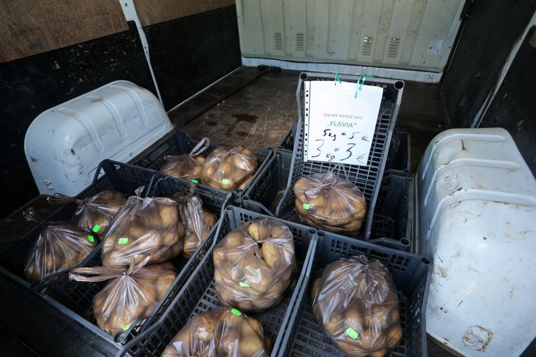 Erala aia kaubikust saab osta «Flavia» sordi kartuleid kolme ja viie euro eest.
