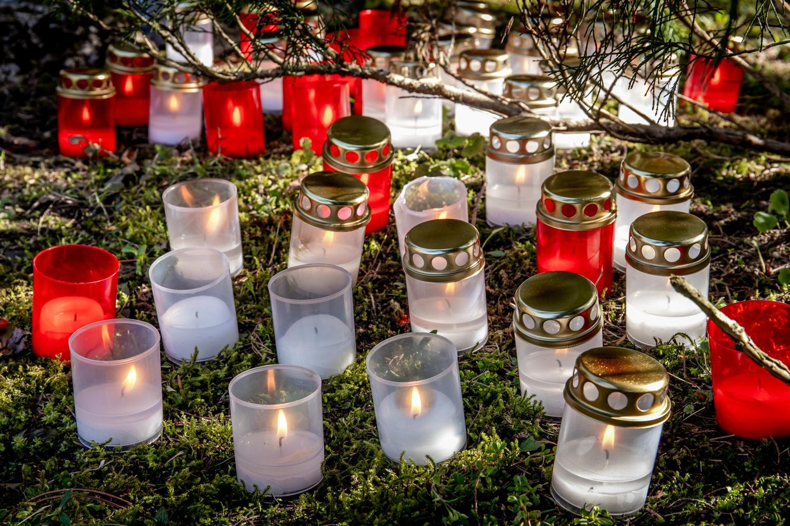 Свечи, установленные в память о массовых депортациях.