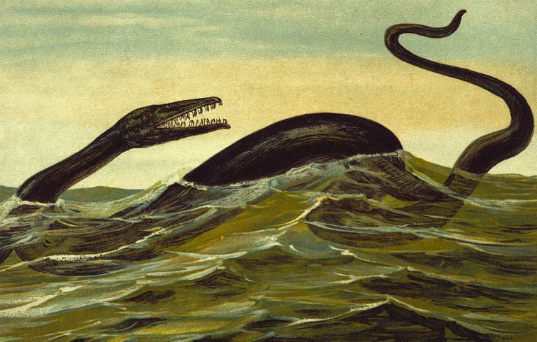 20. sajandi alguse joonistus plesiosaurusest. Kaua aega on arvatud, et Šotimaa Loch Nessi koletis on plesiosauruse järeltulija