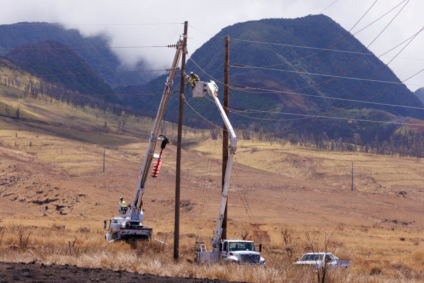 Elektrikud parandamas tulekahjus laastatud Lahaina linna viiviaid elektriliine Maui saarel