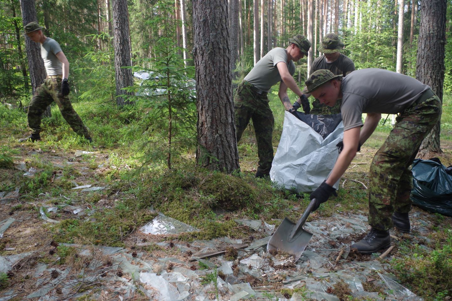 Kuperjanovi pataljoni ajateenijad käisid RMK-l abis Võrumaa metsaaluseid koristamas.