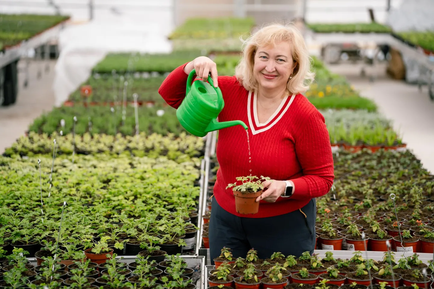 Maitse- ja lõhnataimede kasvatamisega tegeleva Tamme talu perenaine Heli Viedehof usub, et tulevik on kindlale turunišile spetsialiseerunud aiandustootjate päralt.