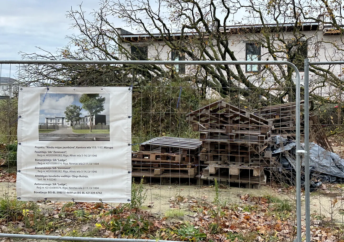 Rindu māju projekta "Dižozola nami" būvdarbu teritorijā Mārupē nozāģēts valsts nozīmes aizsargājams dižozols.