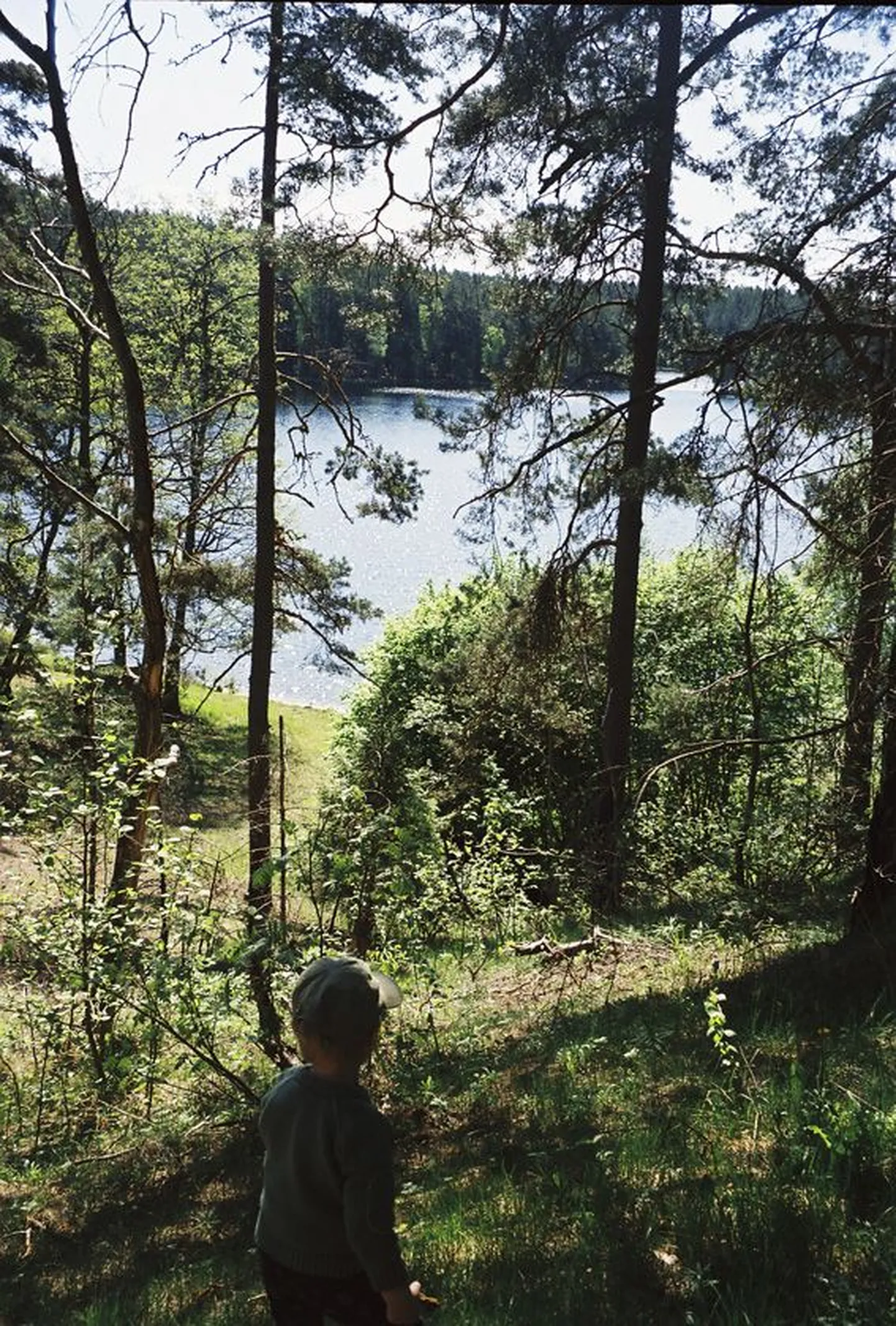 Viitna Pikkjärv.