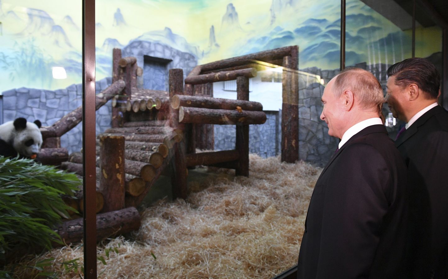 Vladimir Putin ja Xi Jinping Moskva loomaaias.