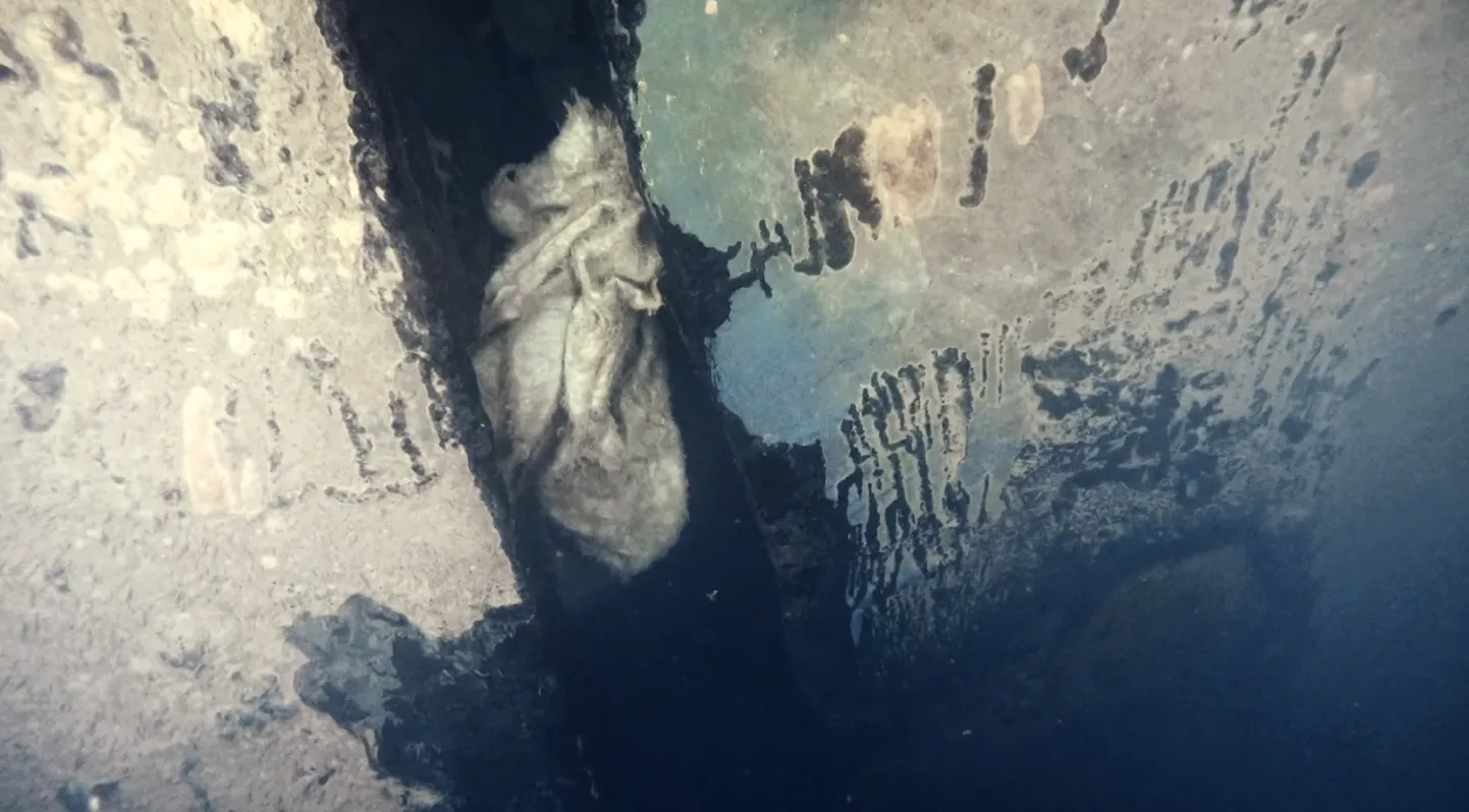 Towel in the hole in the starboard port of the wreck of Estonia, captured by the team of the documentary.