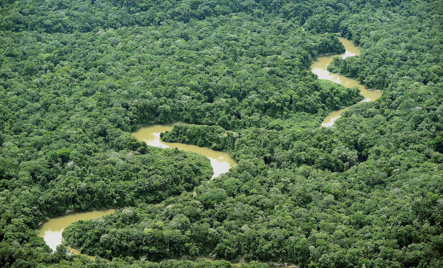 Colombia džungel