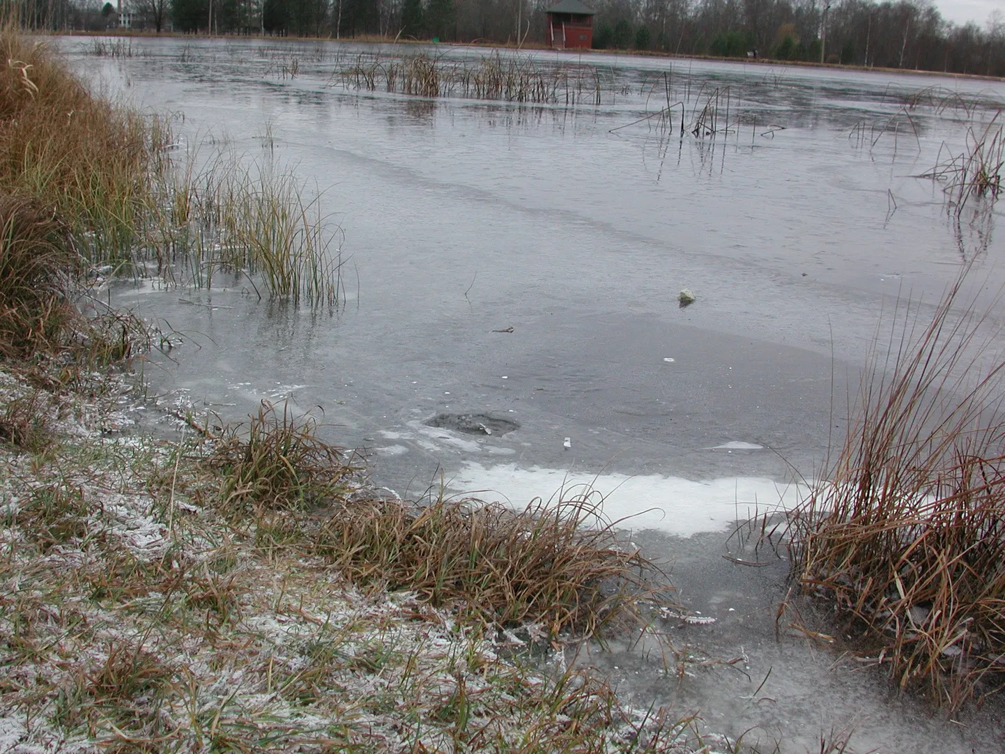 Paide tehisjärv
