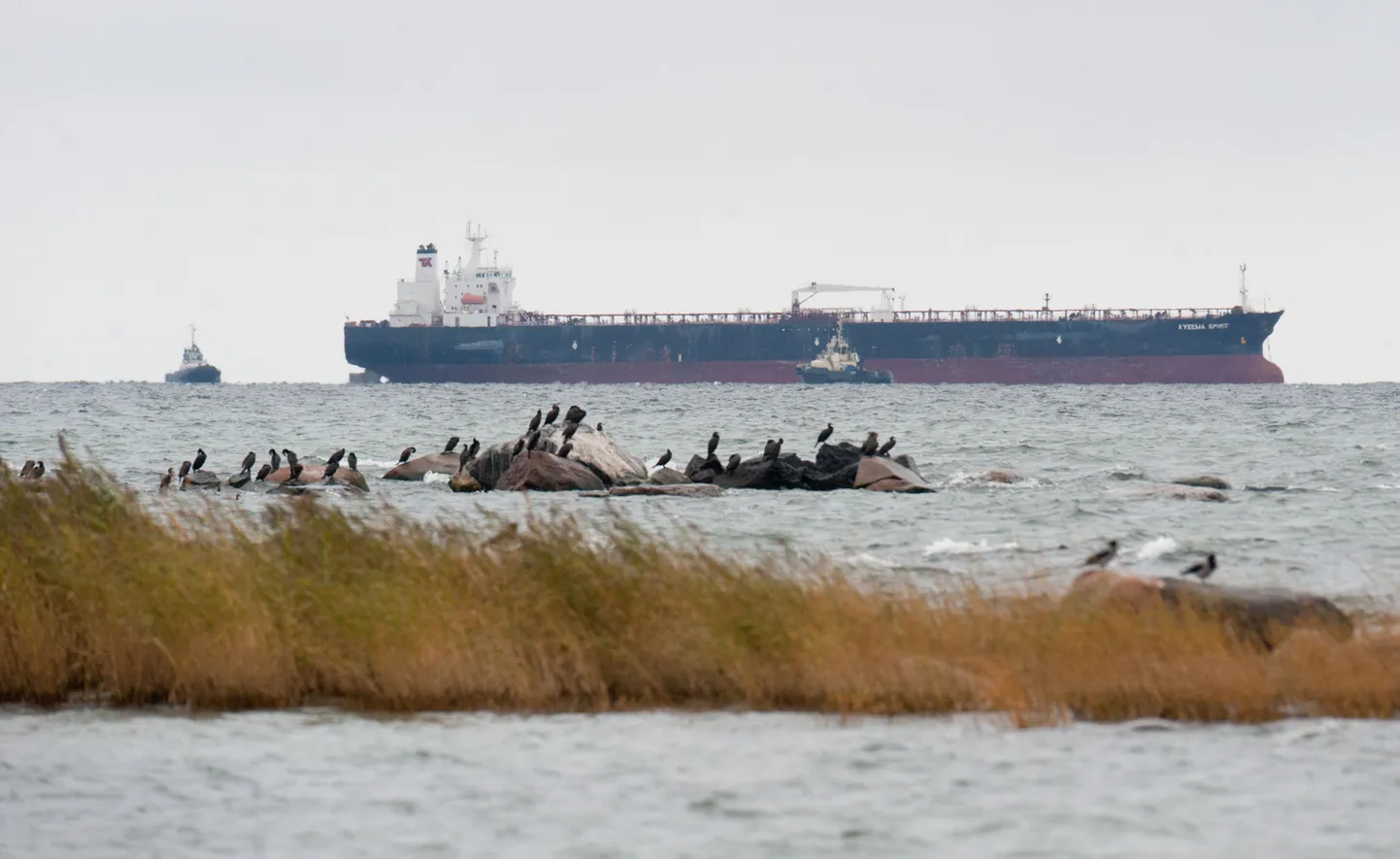 Tanker Kyeema Spirit Aegna saare juures