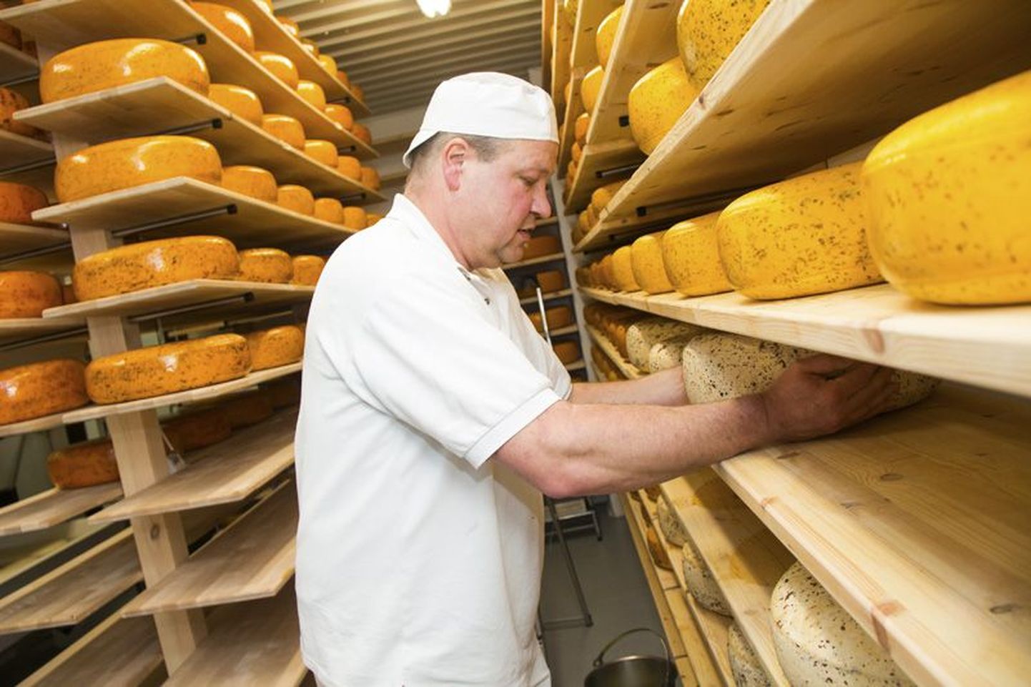 Hollandlane Pascal Smits aitas käivitada Arknal asuvat juustukoda.