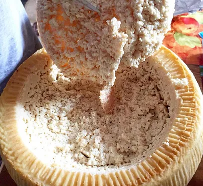Casu Marzu «vaglajuust».