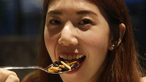 Korea kohus tahab vangi saata toidus sipelgaid kasutanud restoranipidaja