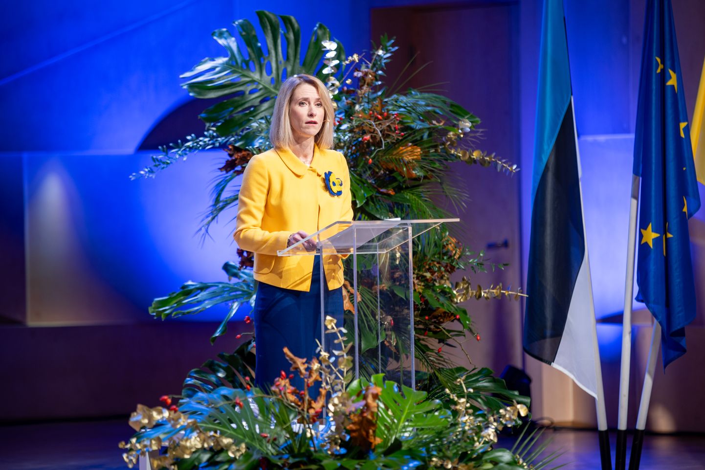 Members of the Estonian Reform Party on Saturday re-elected Kaja Kallas as the leader of the party