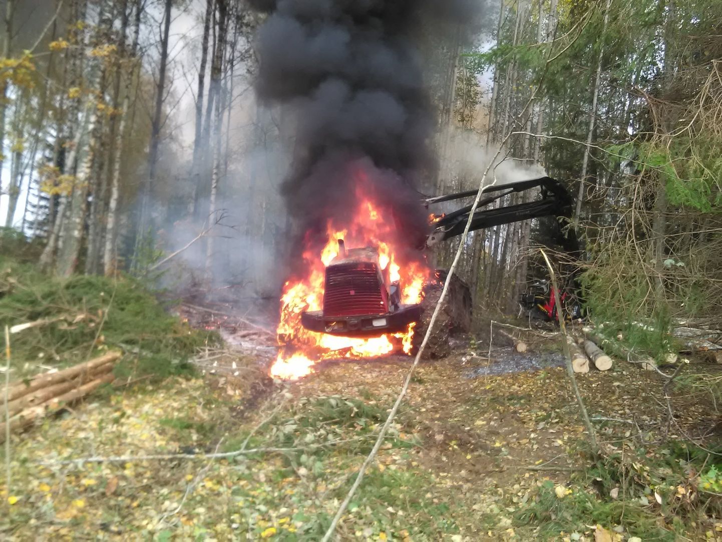 Rõuge vallas süttis metsaveotraktor.