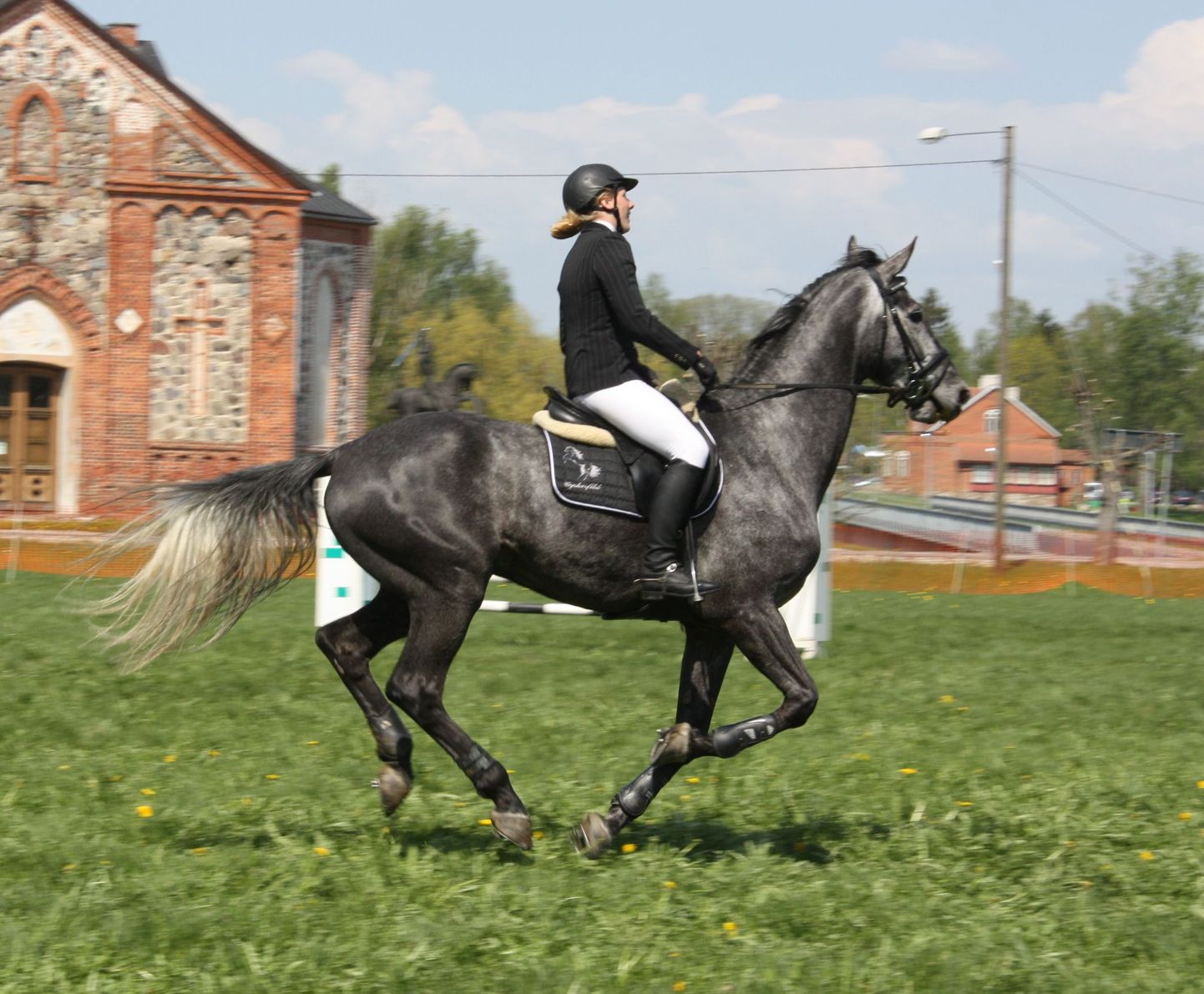 Sarja Tori Hobune ülesandeks on propageerida tori hobust spordis.