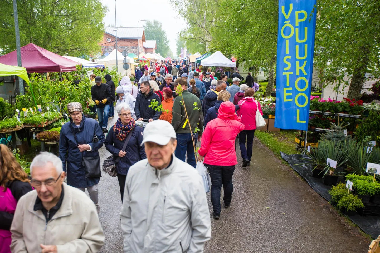 Jäneda aia- ja lillepäevad tõmbavad rahvast ligi.