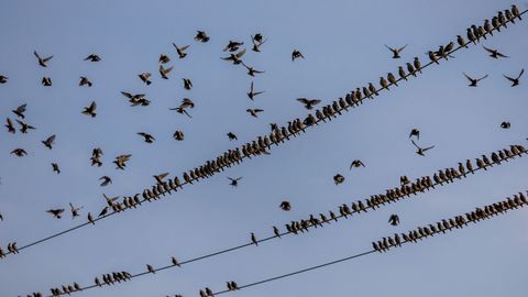 KARM ⟩ Kolmapäeval kerkib elektri börsihind enam kui viis korda