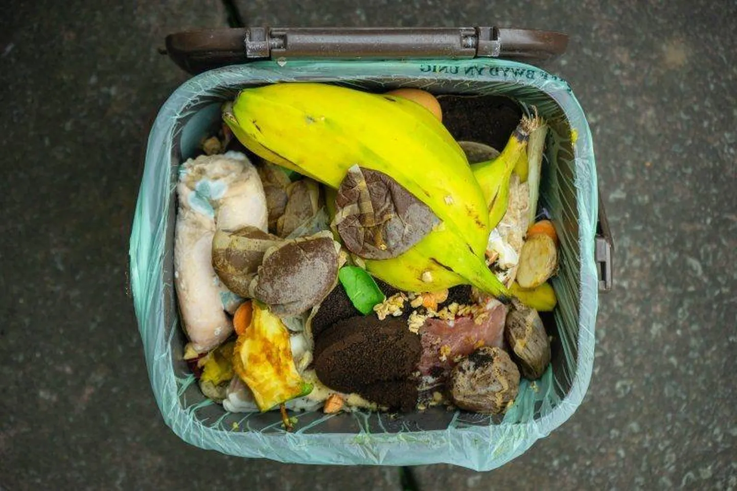 Biojäätmed moodustavad kolmandiku inimeste tekitatud prügist.