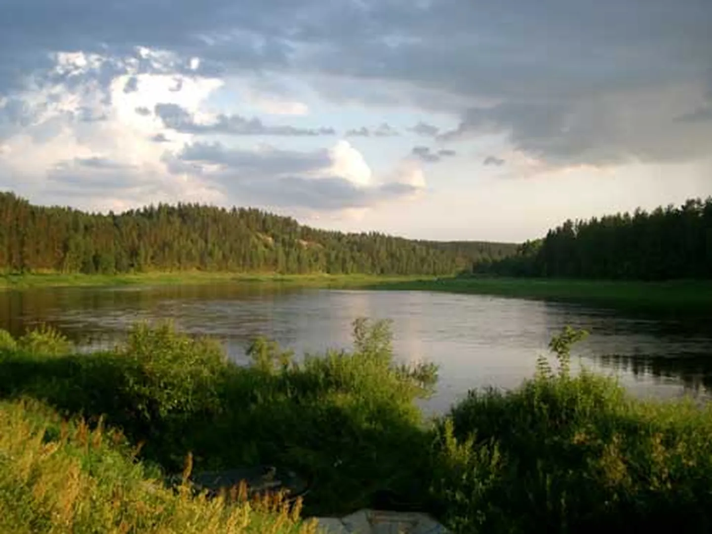 Raksta foto