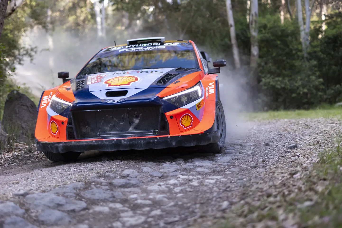 Ott Tänak Sardiinia rallil.