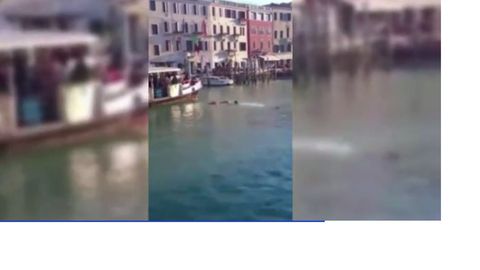 Видео: в Венеции беженец утонул под крики толпы