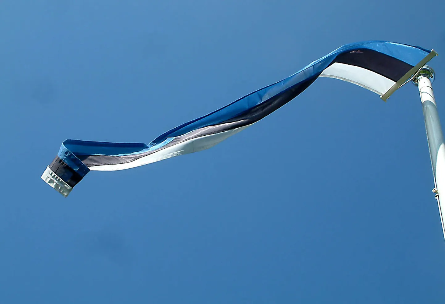 Ида-Вирумааский союз самоуправлений надеется, что торжественные мероприятия, организованные в год юбилея сине-черно-белого флага, посодействуют более широкому использованию триколора в уезде.