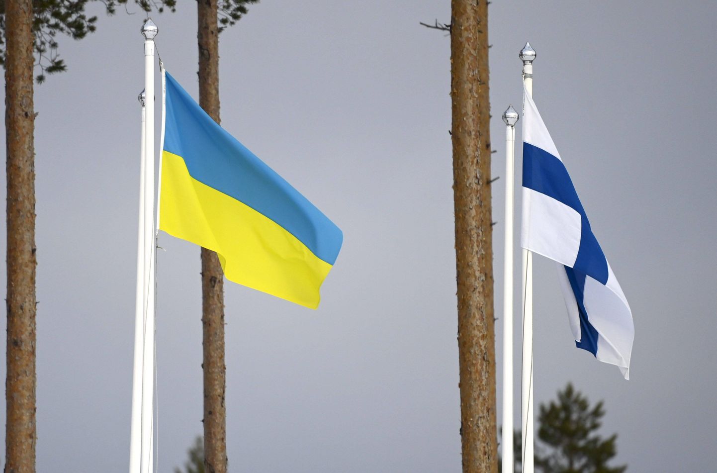 Ukraina ja Soome lipp.