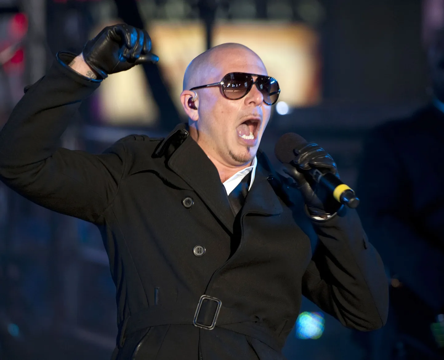 Pitbull