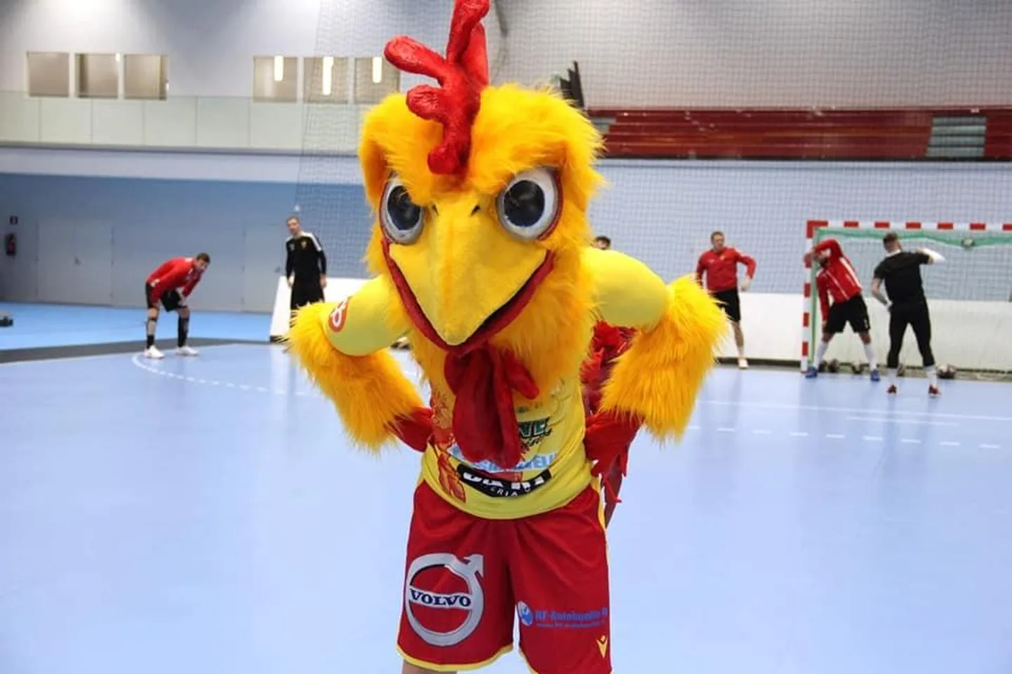 Soome käsipalli valitseja Riihimäe Cocksi humoorikas ja hakkamist täis maskott pole keegi muu kui kukepoiss.