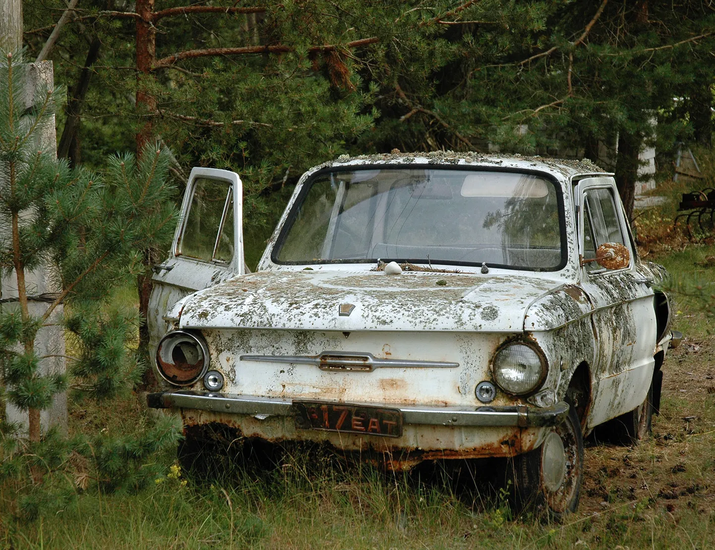 Foto Dan Mikkini näituselt.