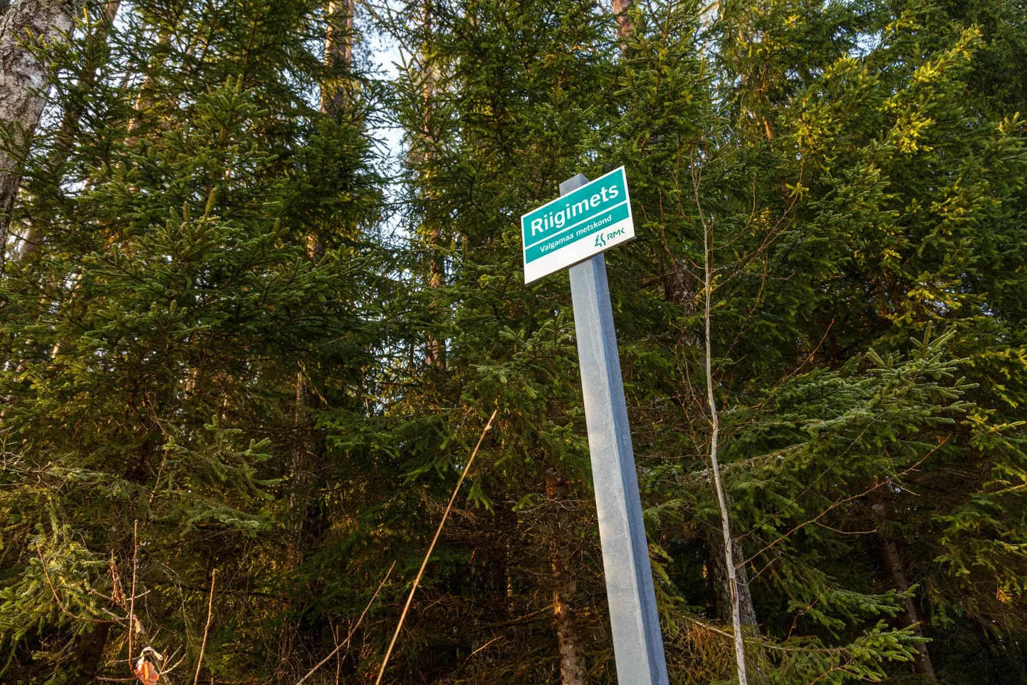 RMK silt ühe Lõuna-Eesti metsa servas.