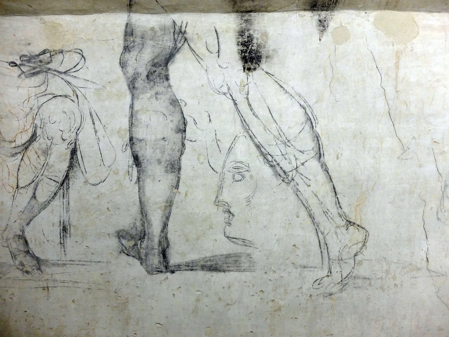 Renessanssmeistri Michelangelo käega tõmmatud jooned San Lorenzo kirikus.