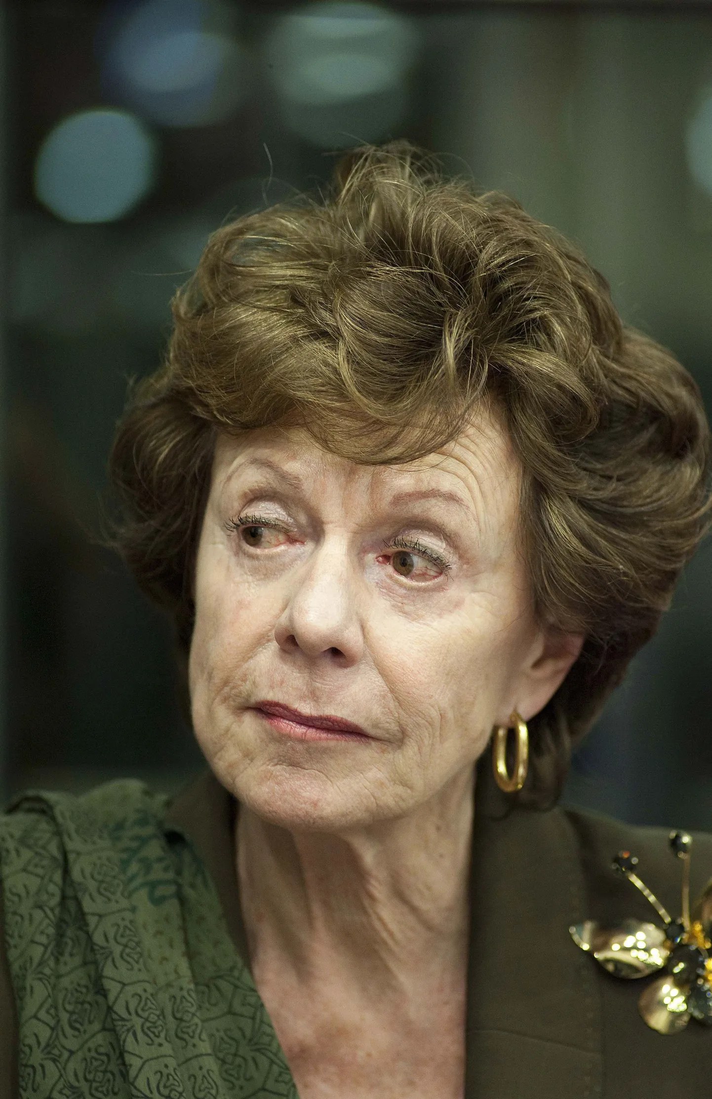 Volinik Neelie Kroes.