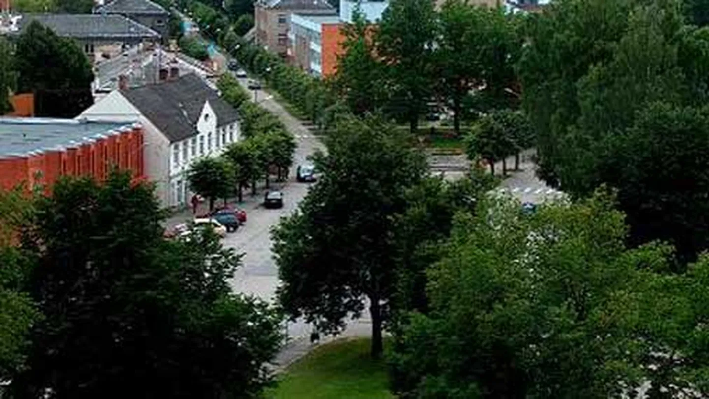 Raksta foto